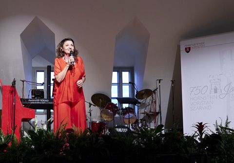 Fotoalbum Konzert – Bild 20